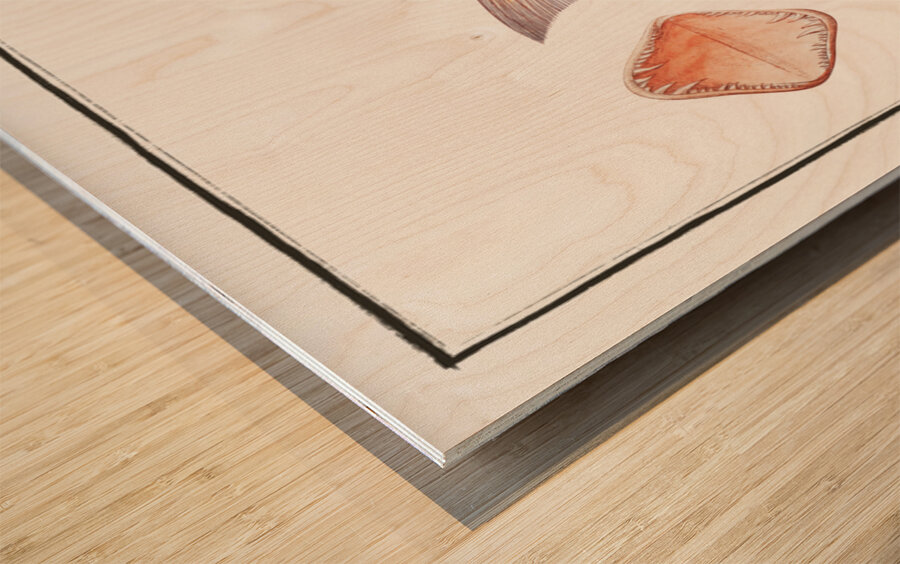 Sea-Rough Sparus Dentex Wood print