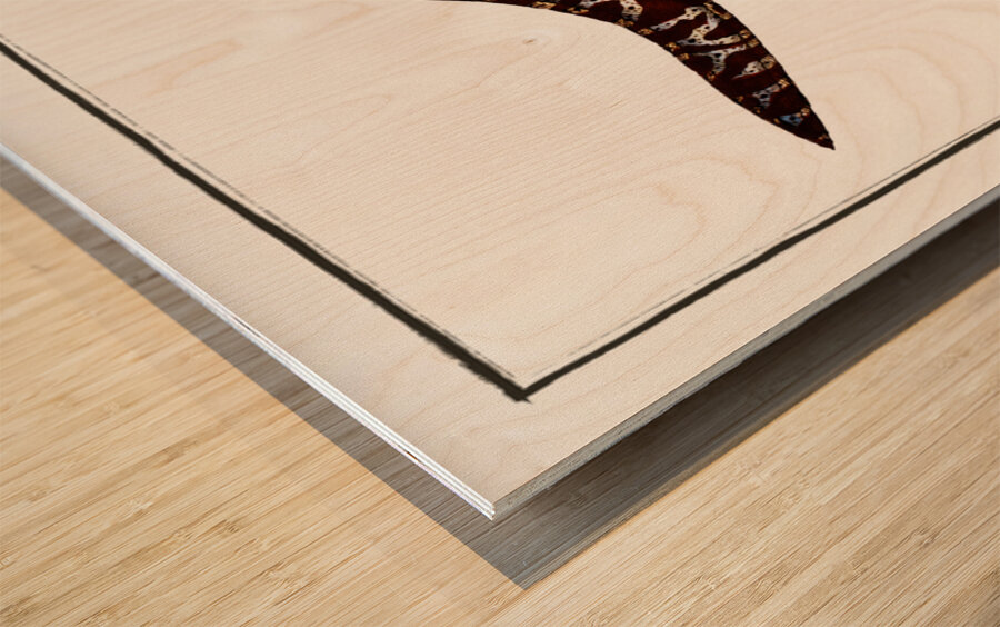 1. Chain-Fish Gymnothorax catenatus 2. Silver-Lamprey Petromyzon agrenteus Wood print