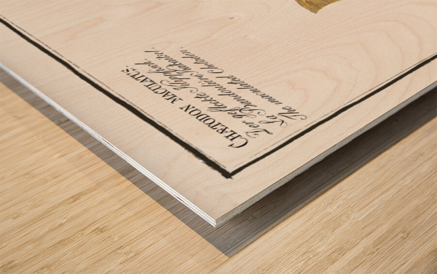 1. Sail Acanthurus Velifer 2. Maculated Chetodon Chaetodon maculatus Wood print