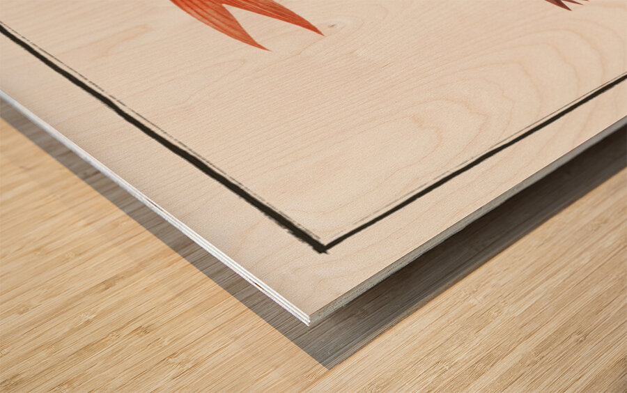 Gold-Fish Cyprinus Auratus Wood print