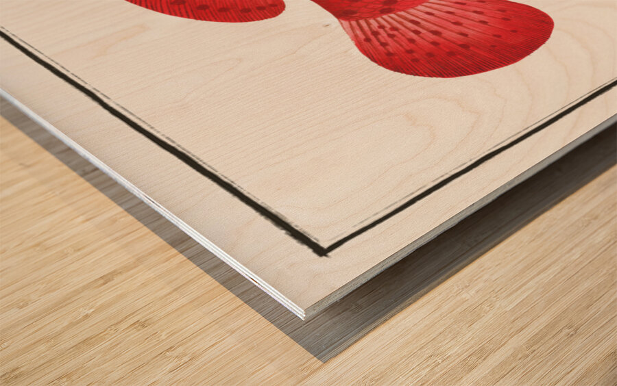 Hind Perca Guttata Wood print