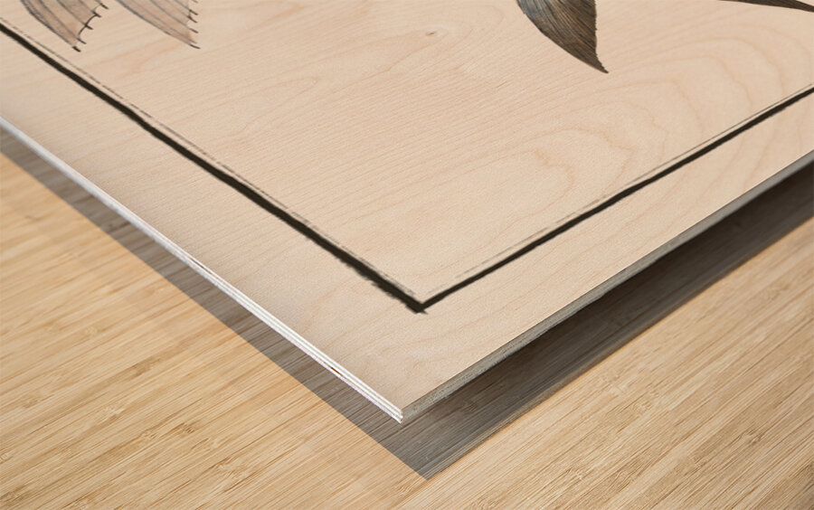 Middle-Pinned Flying-Fish Exocoetus Mesogaster Wood print