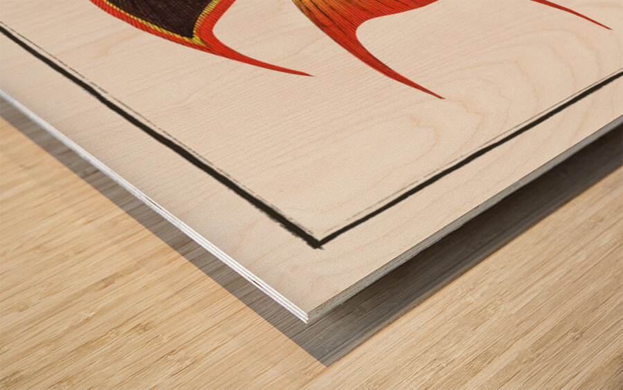 Treble-coloured Chaetodon tricolor Wood print