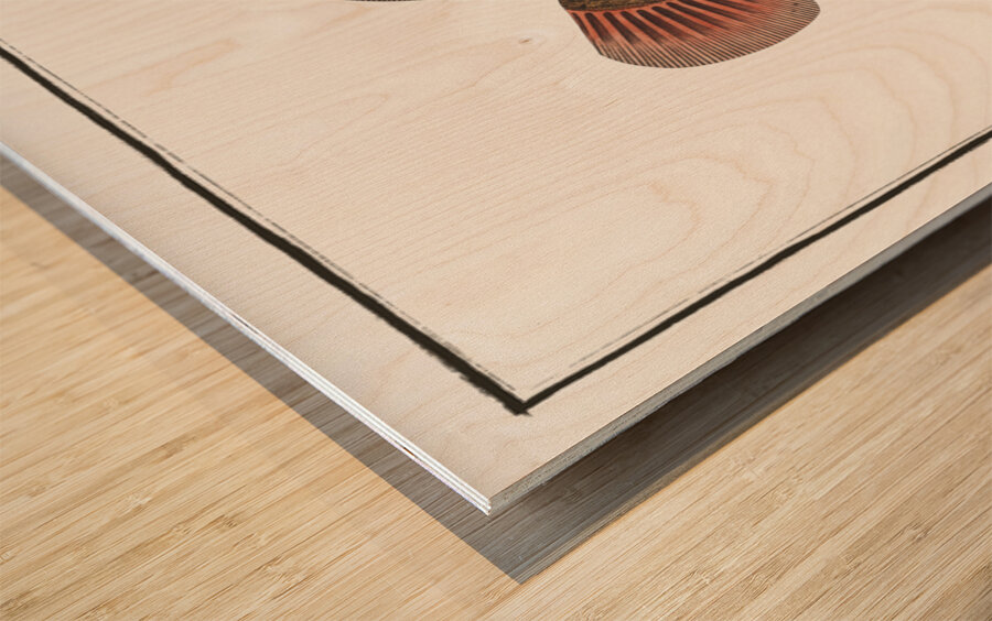 Balstes aculeatus Wood print