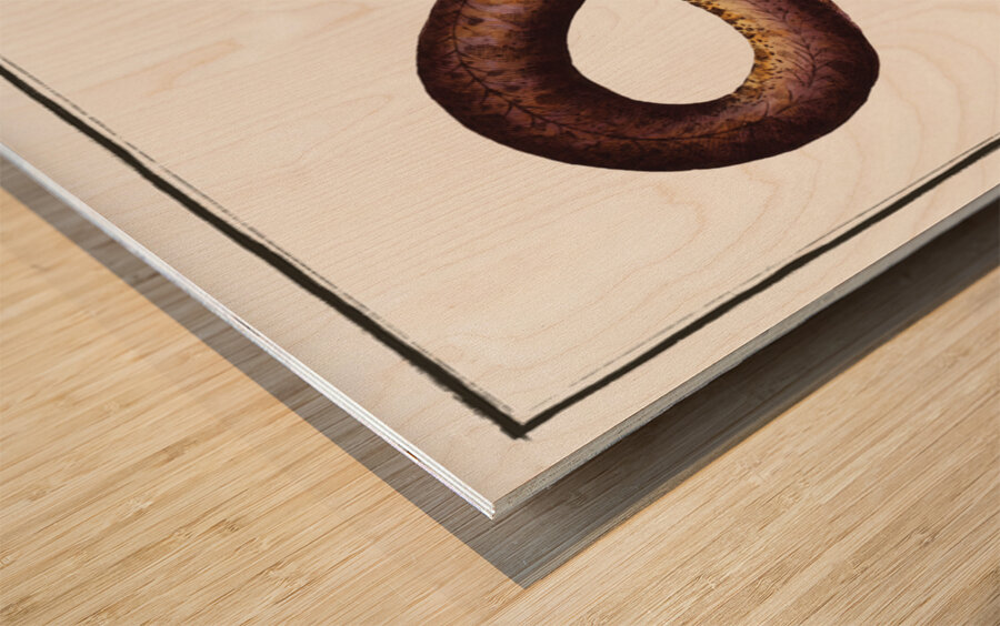 Marble Synbrant Synbranchus marmoratus Wood print