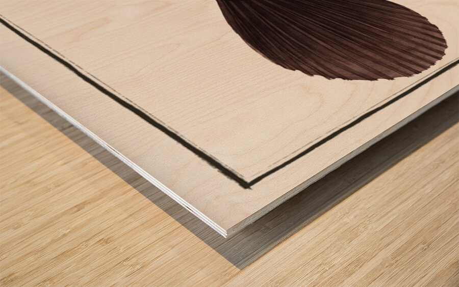 Smooth old Wife Balistes laevis Wood print