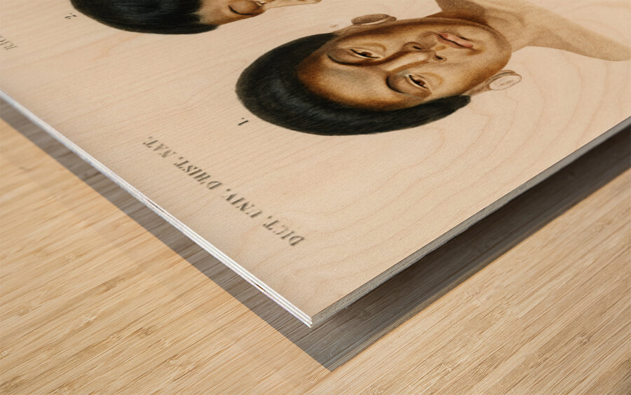 Human race Wood print