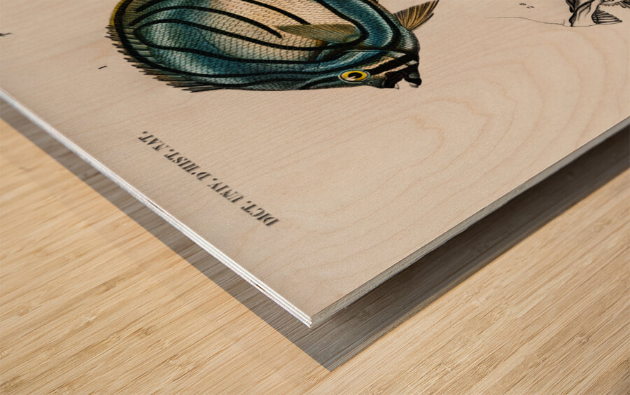Different types of fishes Wood print
