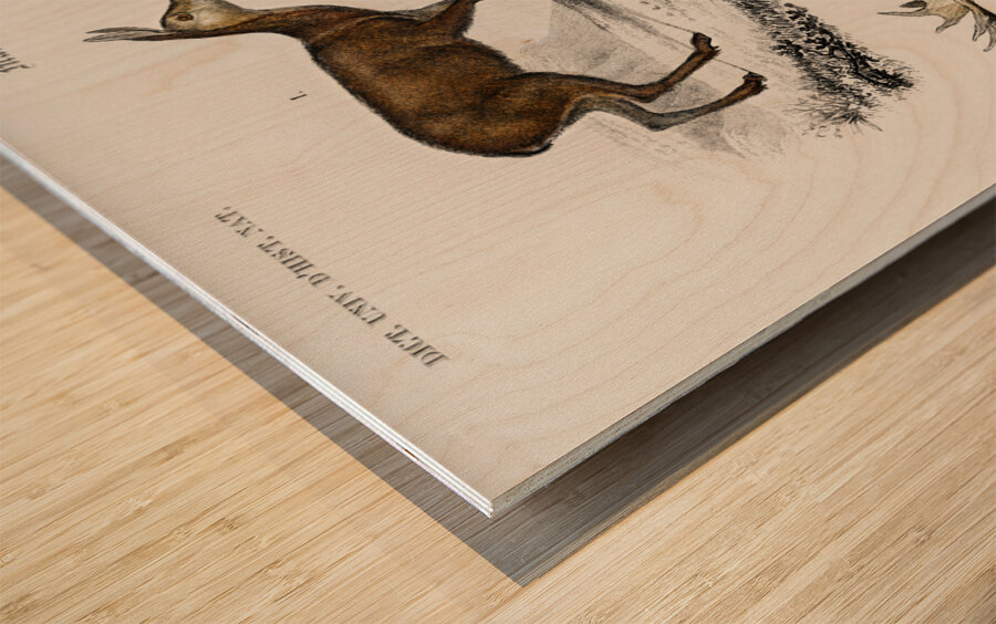 Different types of insects Wood print