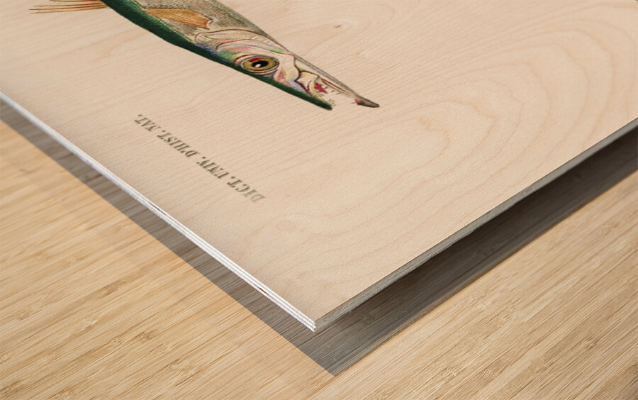 Different types of fishes Wood print