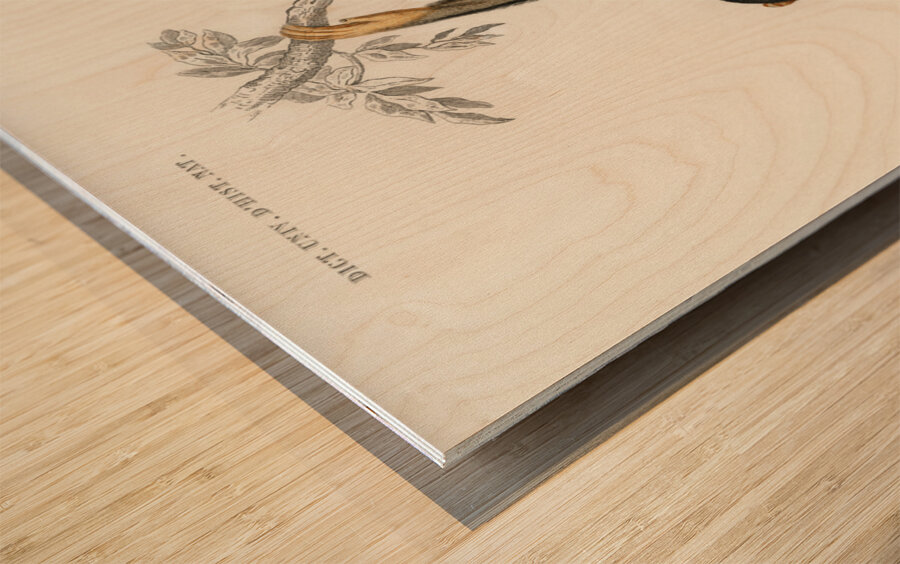 Vintage monkey poster Wood print