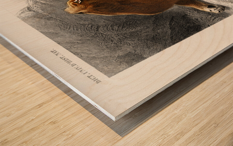 Fails Leo Wood print