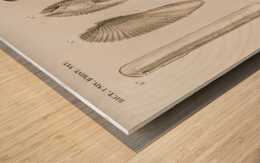 Fails Leo Wood print