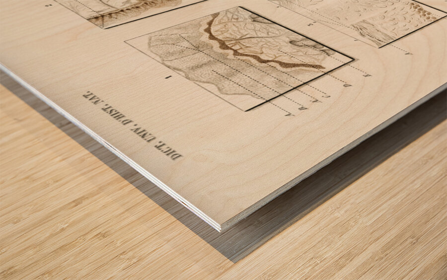 Collection of hand drawing of human skin structure Wood print