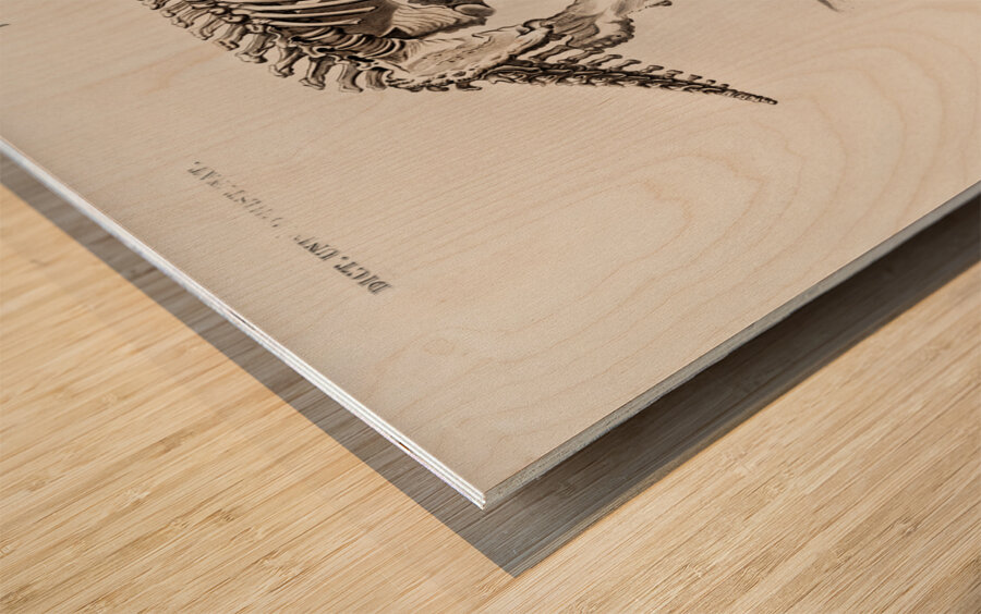 Megatherium Wood print