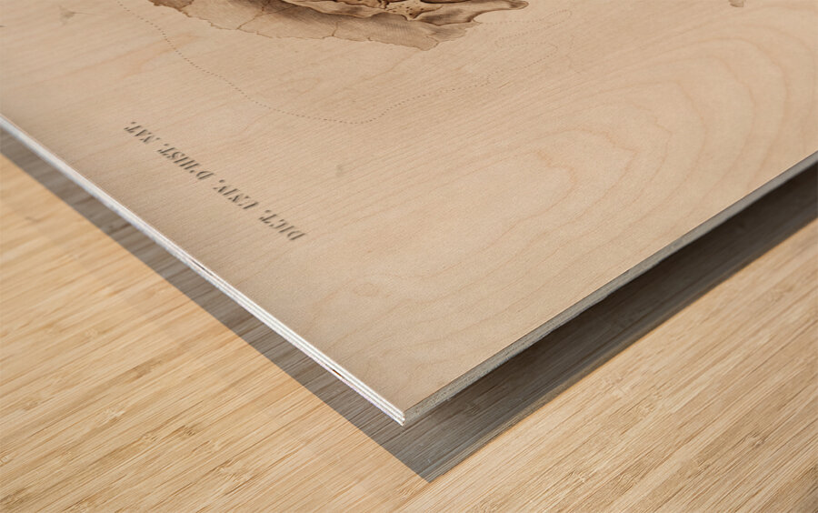 Odd-toed ungulate Palaeotherium Wood print