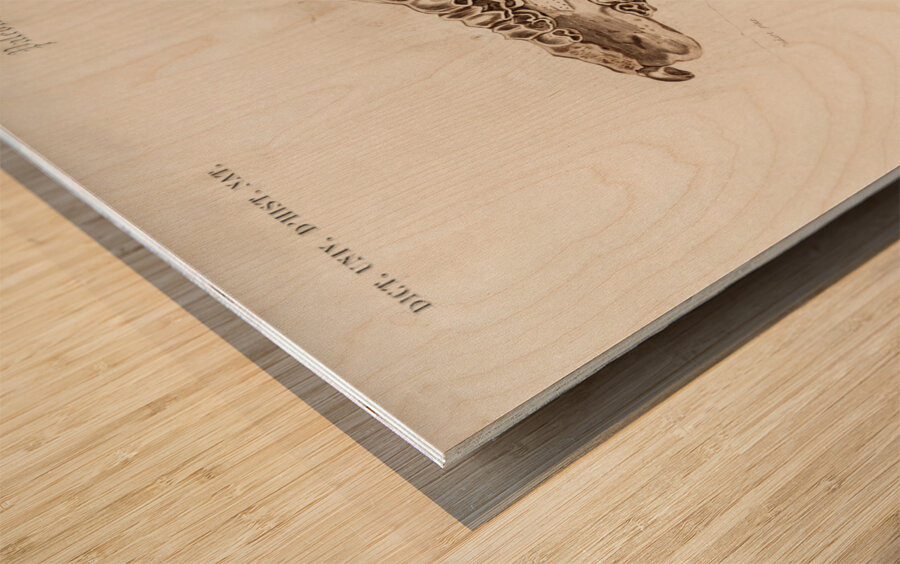 Odd-toed unlate Palaeotherium Wood print