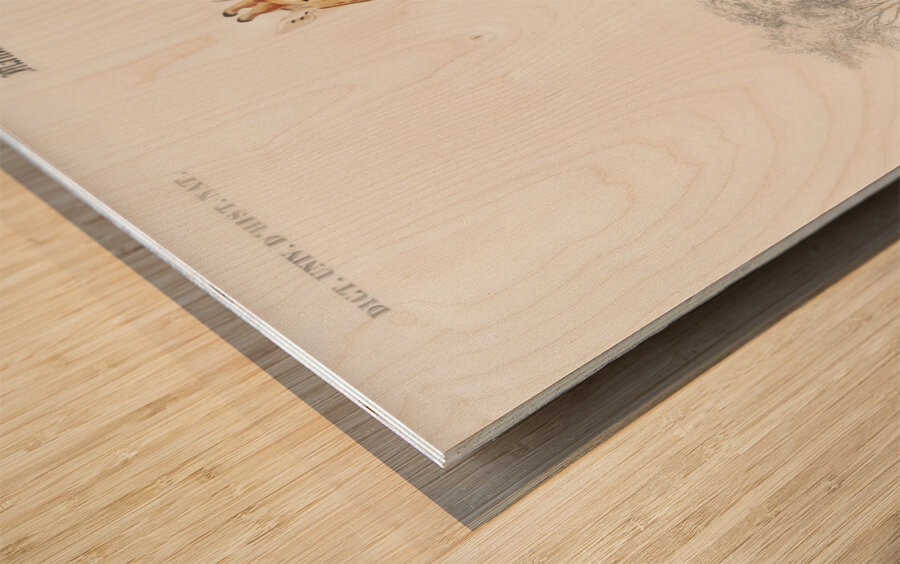 Vintage giraffe poster Wood print