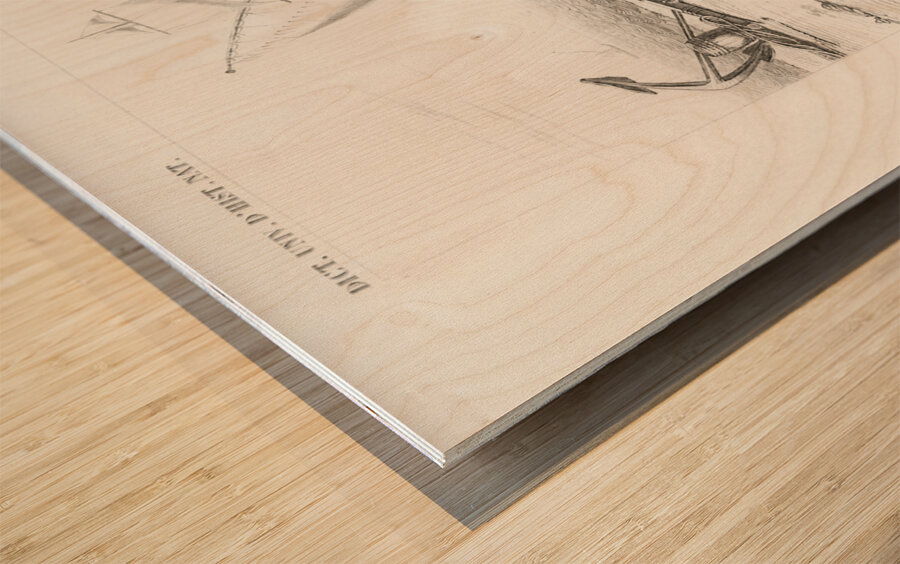 Delphinus delphis Wood print