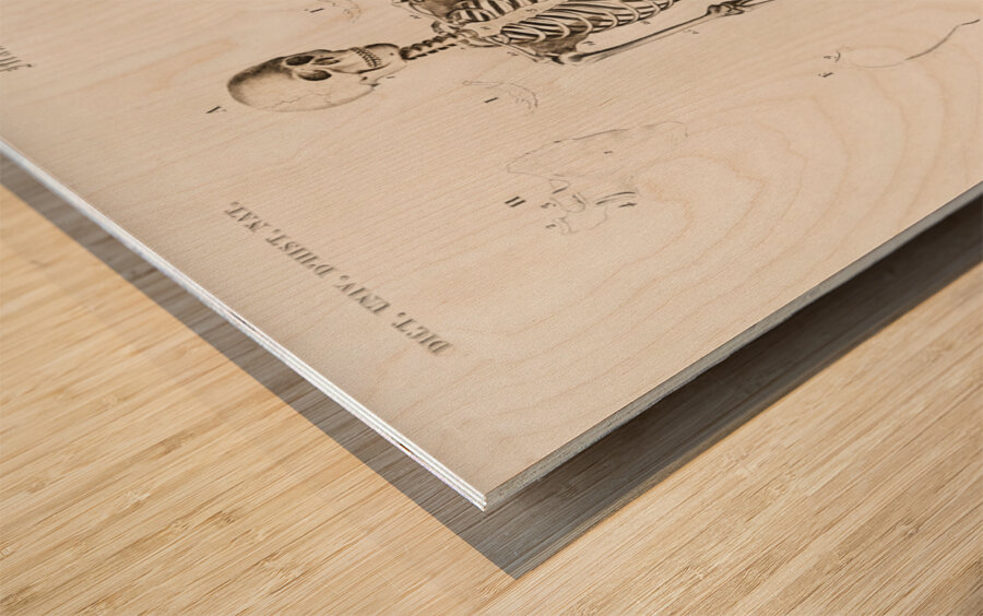 Different types of weevils Wood print