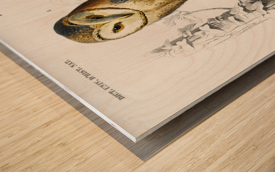 Different types of birds Wood print