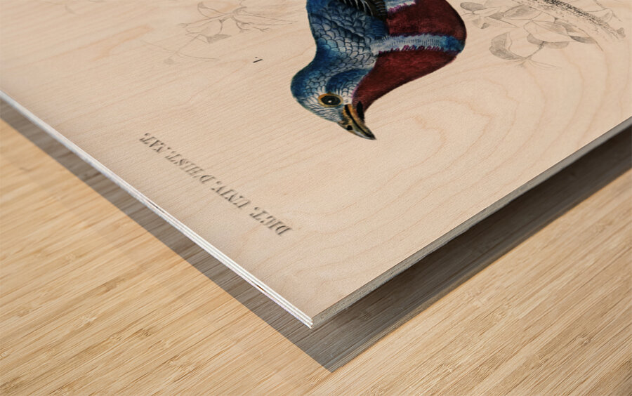 Different types of birds Wood print