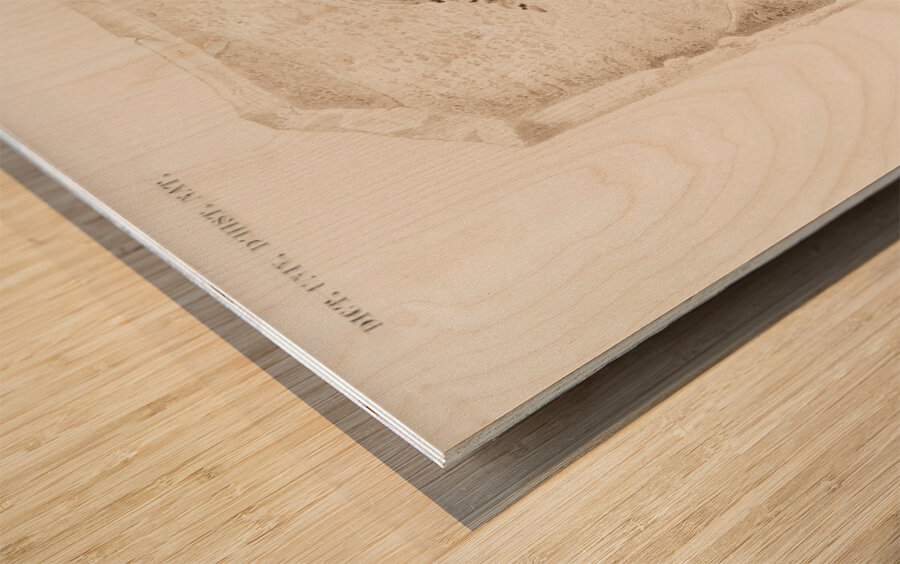 Kingfisher Alcedo Wood print