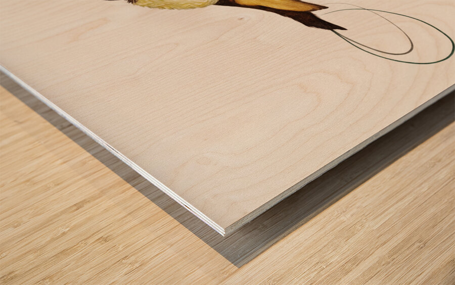 Curl-crested Manucode  Wood print