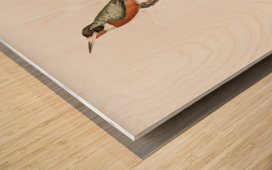 Yellow-billed jacamar Impression sur bois