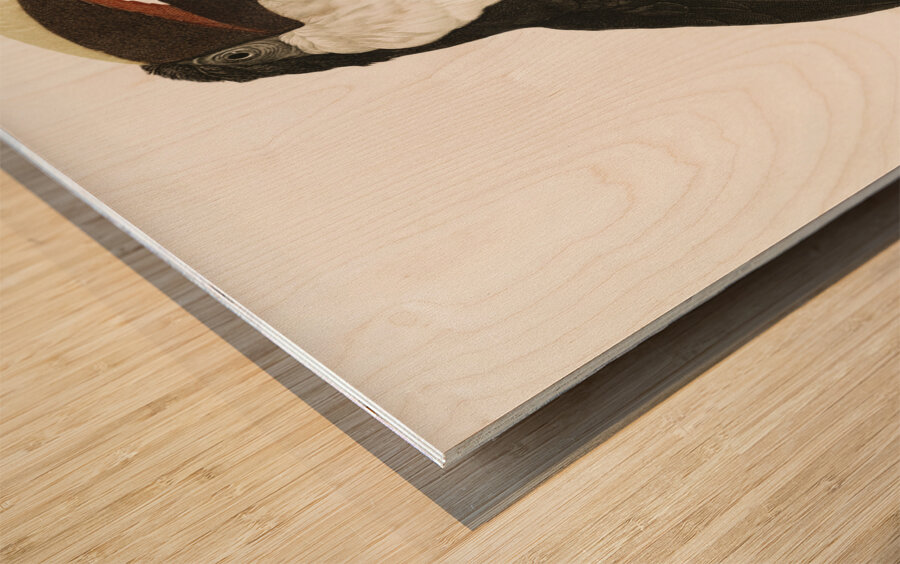 Toco toucan  Wood print