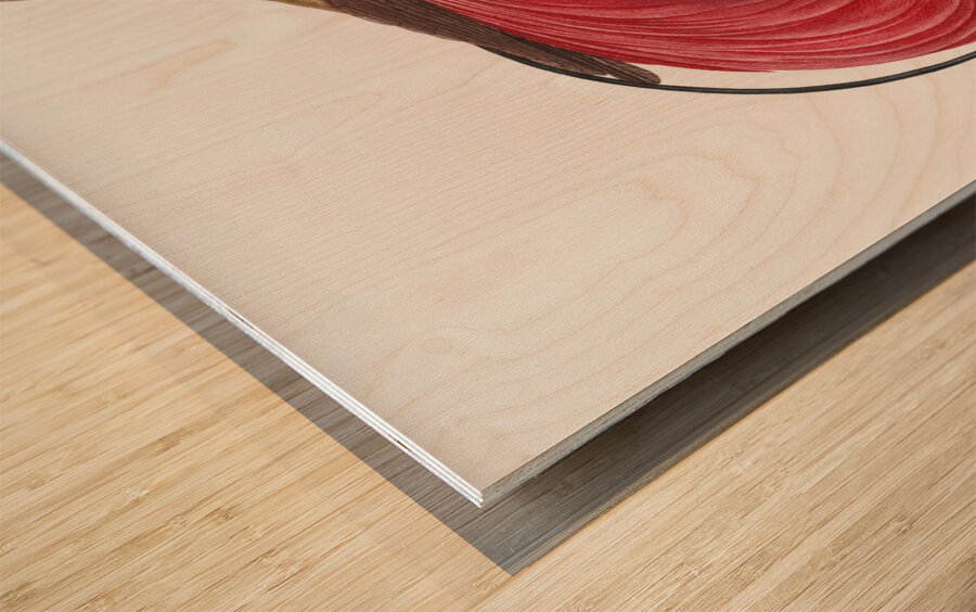 Red bird of paradise  Wood print