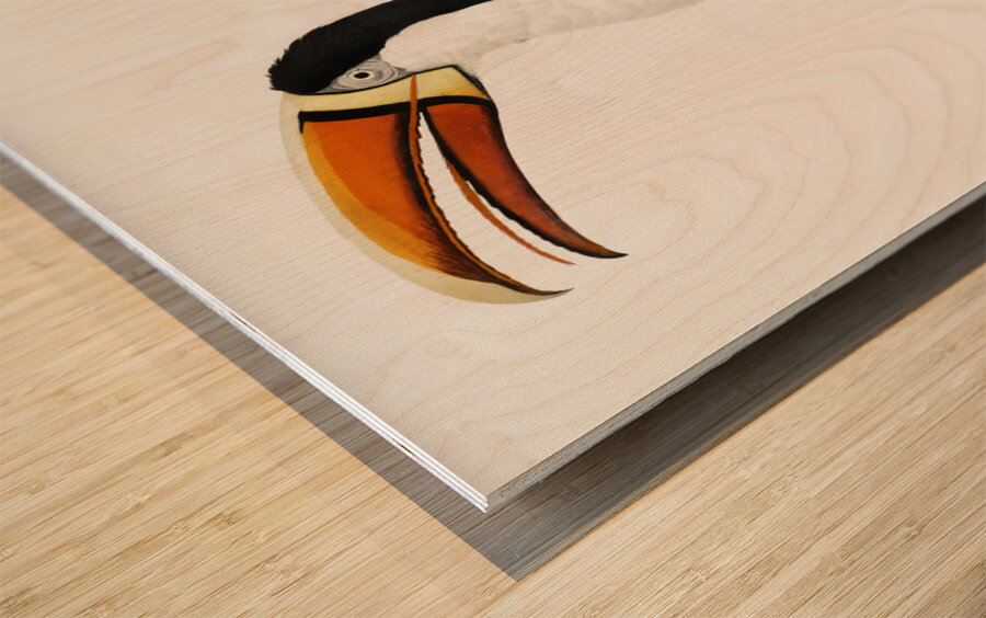 Yellow necklace Toucan  Wood print