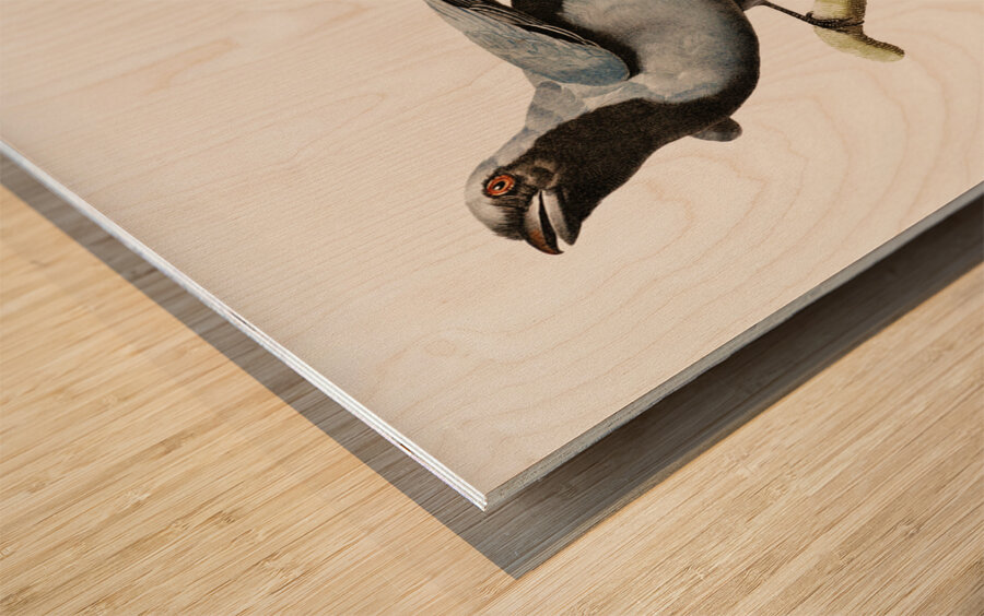 Pterosaur Pterodactylus Wood print