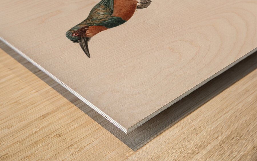 Green-tailed Jacamarfemale Wood print