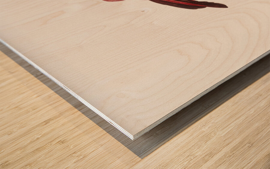 King bird of paradise male  Wood print