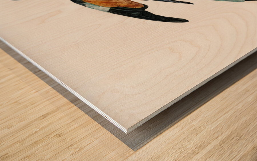 Magnificent bird of paradise female  Wood print