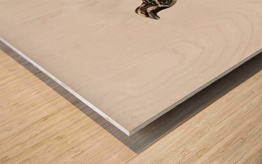 Old braeded tachuri  Wood print