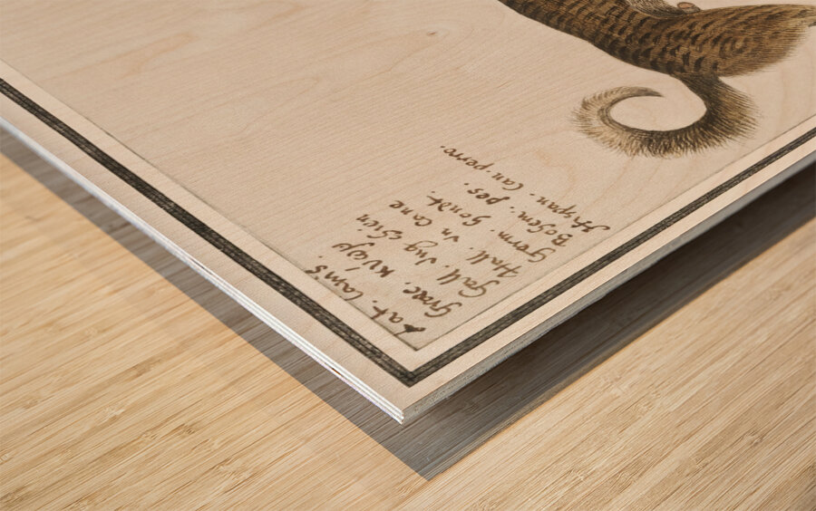 Dog in vintage style Wood print