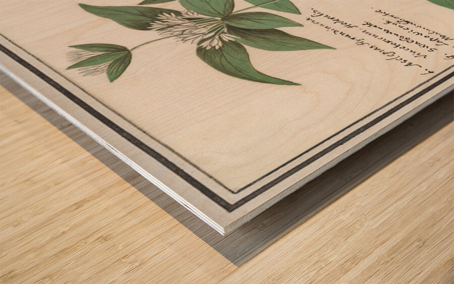 Silk plant in vintage style Wood print