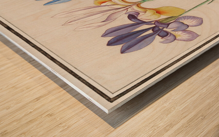 Iris in vintage style Wood print