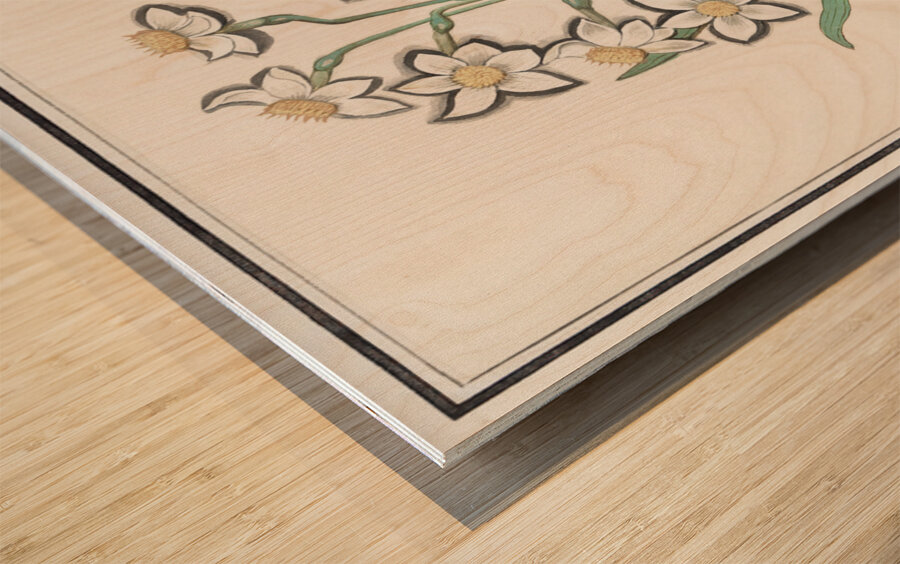 Iris in vintage style Wood print