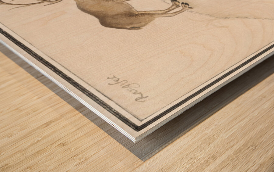 Reindeer in vintage style Wood print