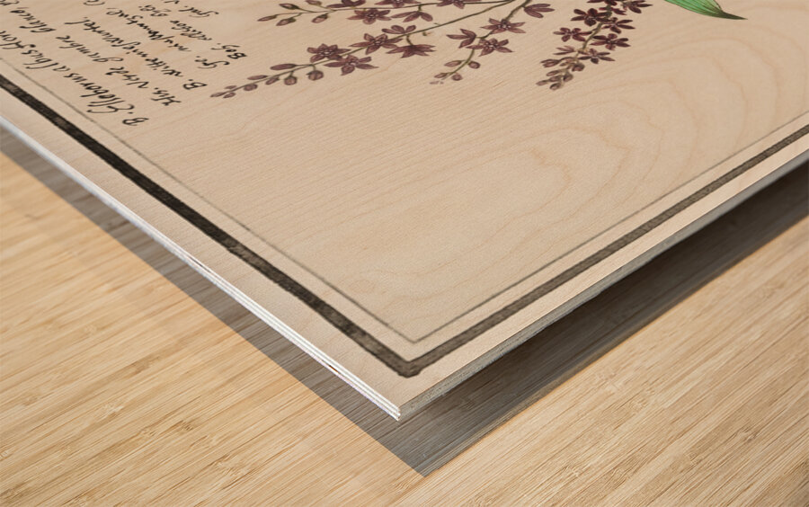 Black carrot flower Wood print