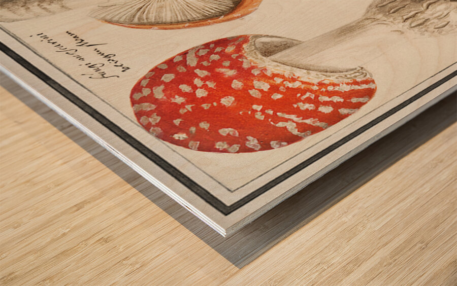 Mushrooms in vintage style Impression sur bois