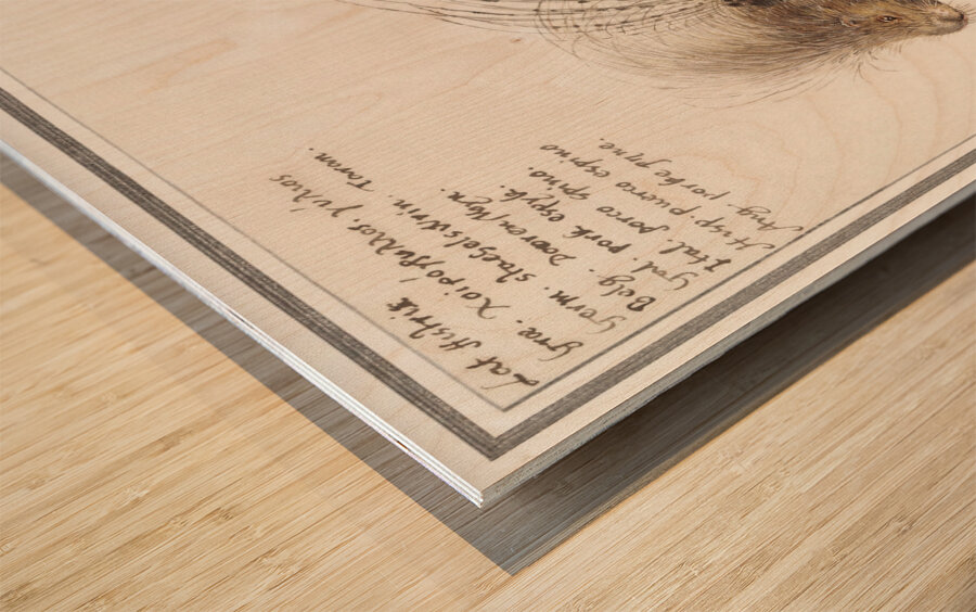 Grape hyacinth in vintage style Wood print