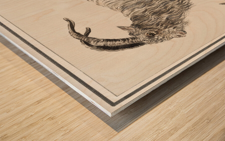 Goat in vintage style Wood print