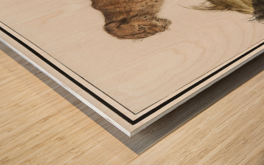 Lynx in vintage style Wood print