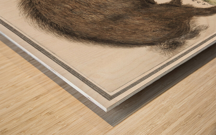 Wild boar in vintage style Wood print