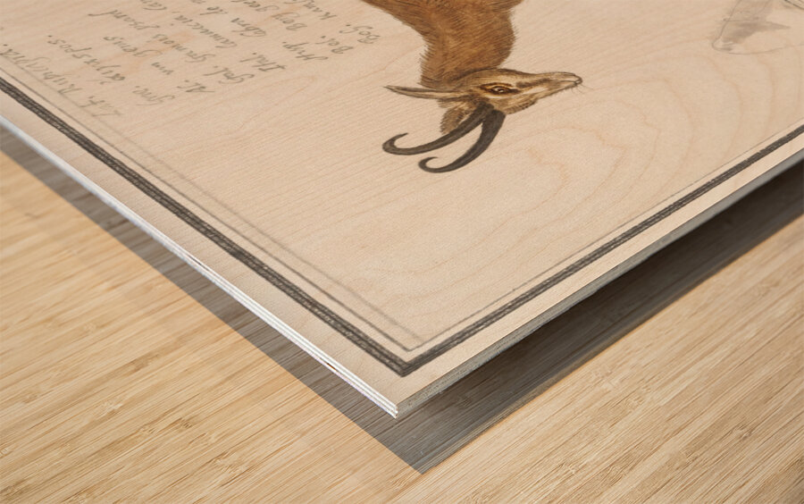 Chamois in vintage style Wood print