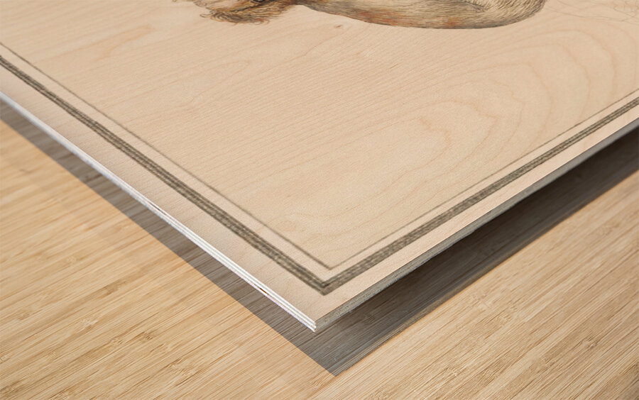 Two dogs in vintage style Wood print